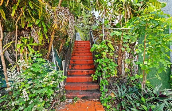 image6