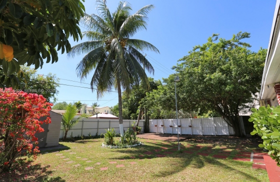 image7