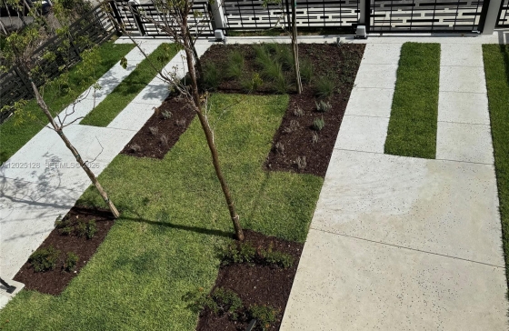 image11
