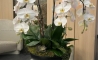 image28