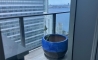 image6