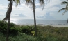 image11
