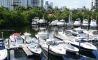 image11