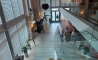 image8