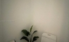 image8