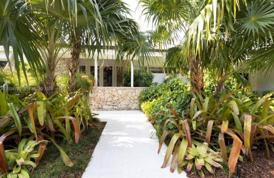 image6