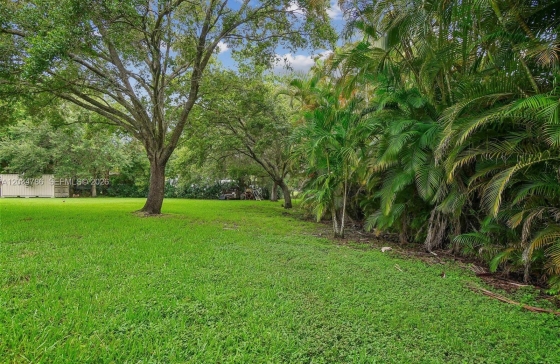 image7