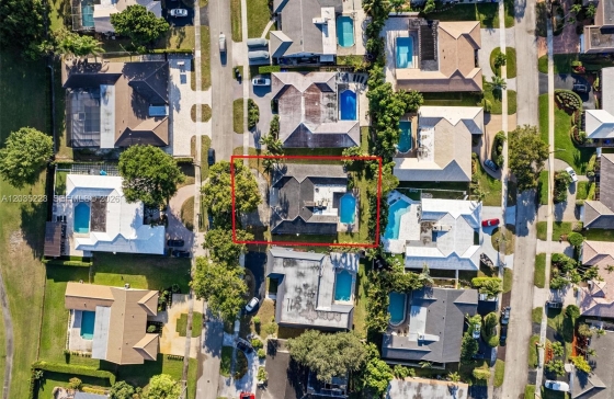 image46