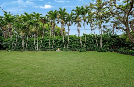 image38
