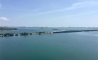 image10