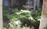 image11