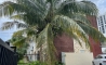 image11