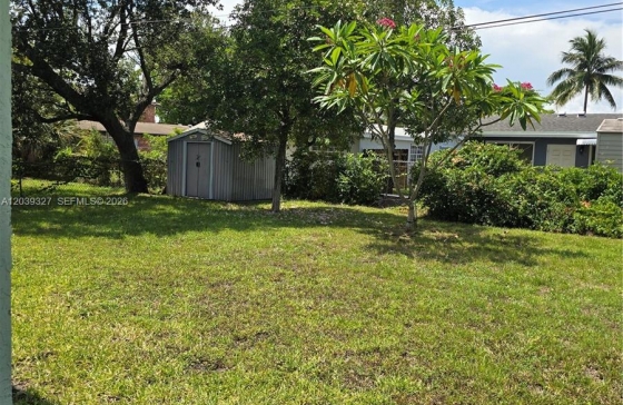 image7
