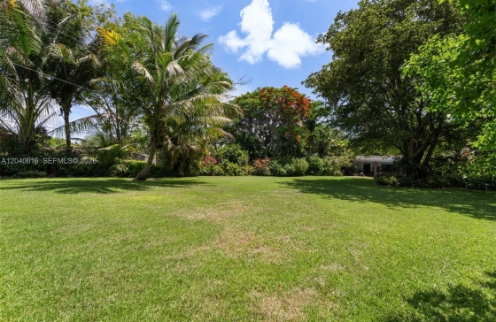 image10