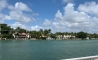 image31
