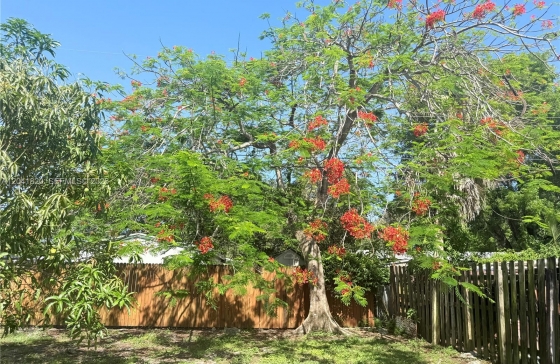 image13