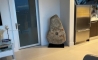 image5