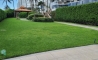 image19