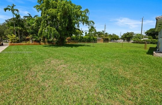 image7