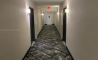 image11