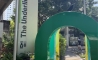 image11
