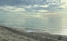image31