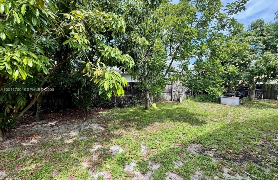 image10