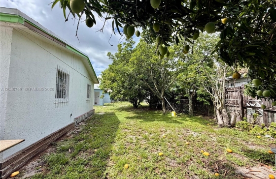image11