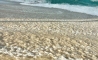 image36