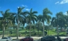 image23