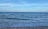 image6