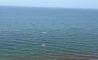 image6