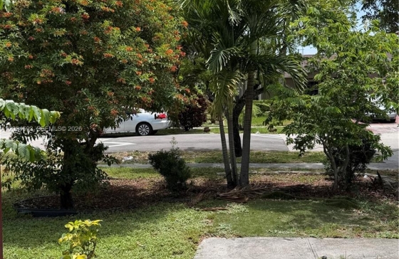 image19