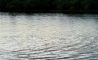 image22