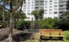 image11