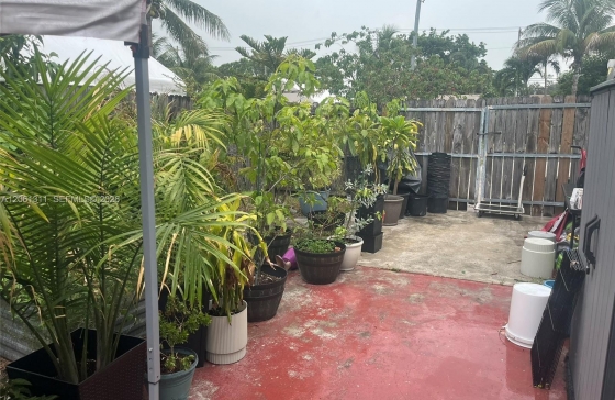 image22