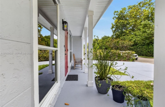 image11