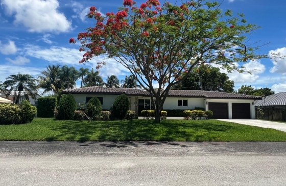 image11