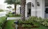 image11