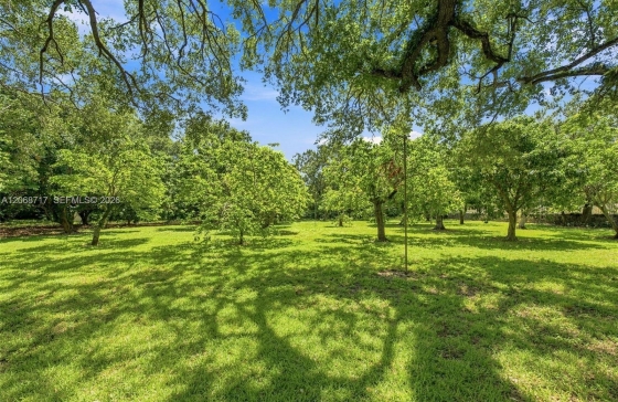 image20