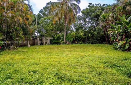 image12