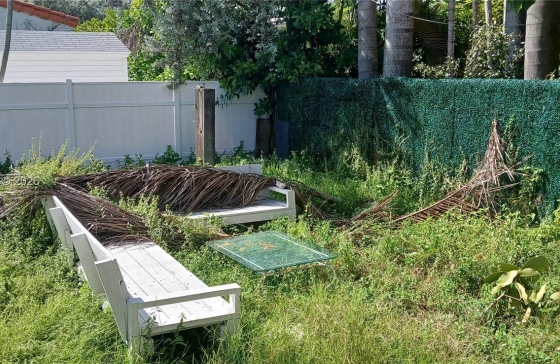image12