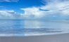 image18