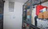 image10