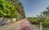 image10