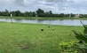 image10