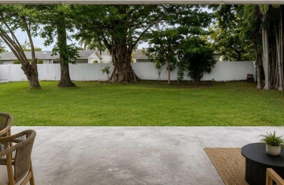 image11