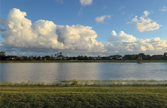 image38