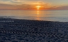 image15