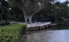 image37
